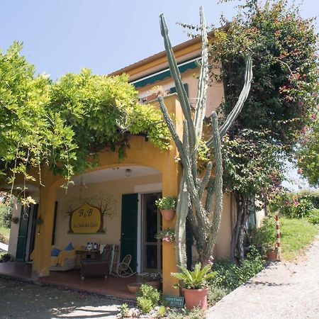 B&B La Casa Dei Gelsi Loano Zewnętrze zdjęcie